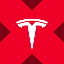Tesla tokenized stock (xStock) logo